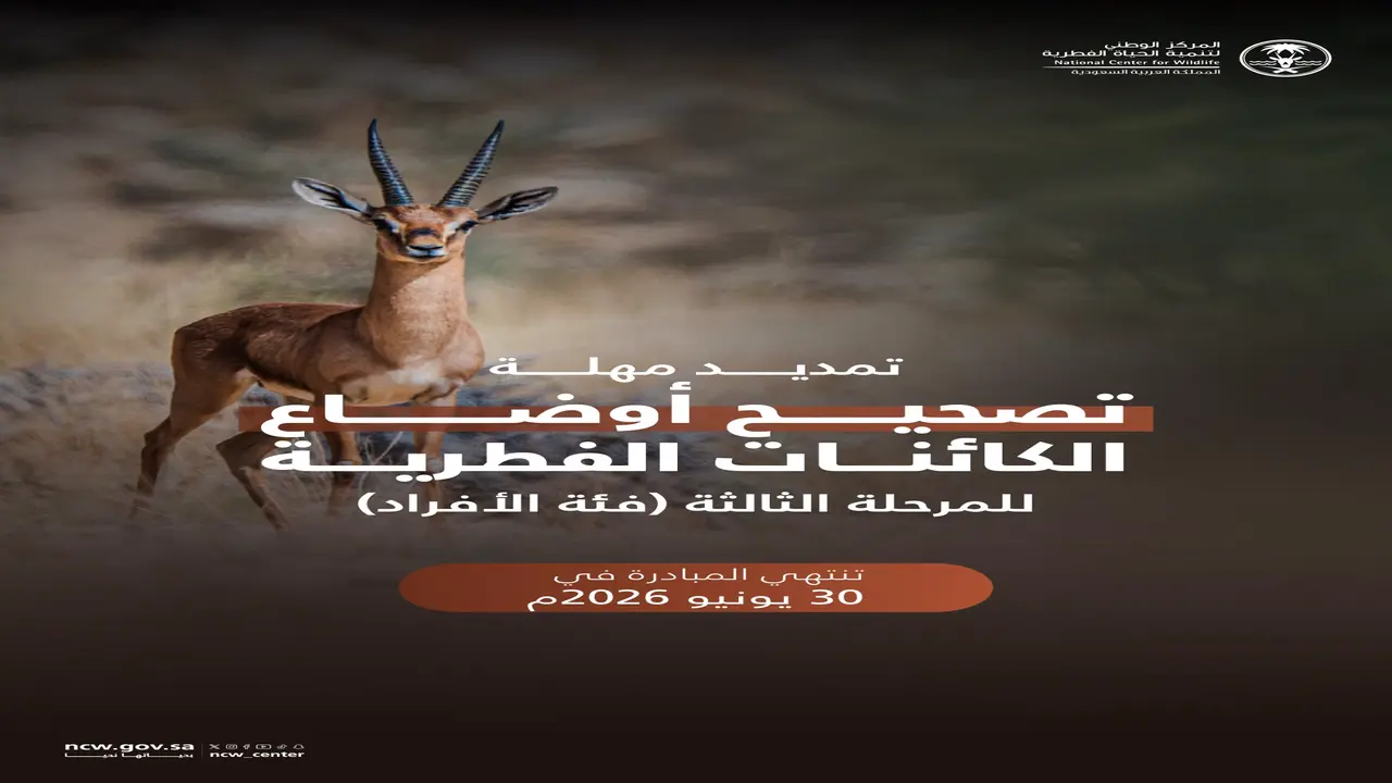 مدة التمديد.. حتى 30 يونيو تصحيح أوضاع الكائنات الفطرية